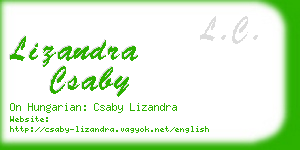 lizandra csaby business card